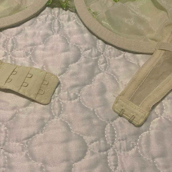 Victoria's Secret Sheer Green Floral Bra, 38C, with matching pantie, size large. - Picture 6 of 15